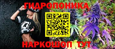 ешки Жуковский