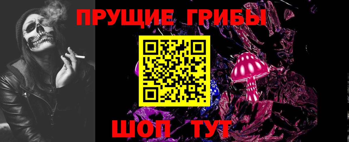 Усть-Джегута  где продают наркотики  Псилоцибиновые грибы Psilocybe  Вход с VPN  Галлюциногенные грибы ЛСД 